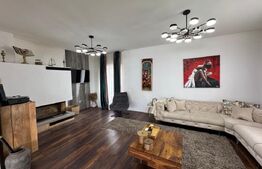 Casa individuala ,675 mp teren,  mobilata si utilata de lux , zona Moara 