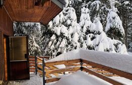 Casa de vacanta, cu 3 camere, 130 mp, zona-Vatra Dornei