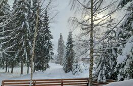 Casa de vacanta, cu 3 camere, 130 mp, zona-Vatra Dornei