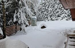 Casa de vacanta, cu 3 camere, 130 mp, zona-Vatra Dornei