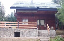 Casa de vacanta, cu 3 camere, 130 mp, zona-Vatra Dornei