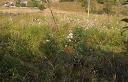 Teren intravilan, 7500 mp, zona Vatra Dornei