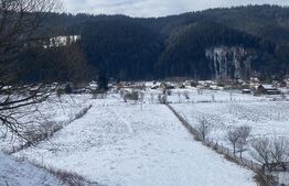 Teren intravilan, 7500 mp, zona Vatra Dornei