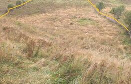 Teren intravilan, 7500 mp, zona Vatra Dornei