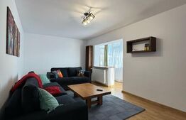 Apartament 2 camere, 50 mp, renovat complet, zona Burdujeni