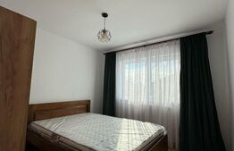 Apartament 2 camere, 50 mp, renovat complet, zona Burdujeni