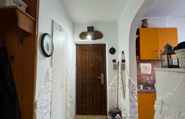 Apartament de vanzare, cu 2 camere, 45 mp, zona Centrala