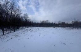 Teren intravilan, 1400mp, Hardic