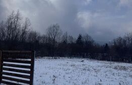 Teren intravilan, 1400mp, Hardic