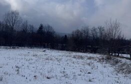 Teren intravilan, 1400mp, Hardic