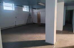 Cladire 1076 mp, teren 1108mp, investitie, zona Burdujeni