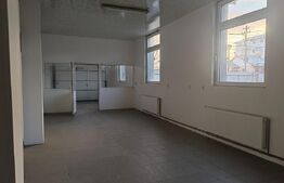 Cladire 1076 mp, teren 1108mp, investitie, zona Burdujeni