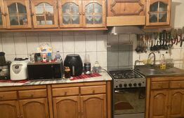 Casă de vânzare, cu 7 camere, 480 mp, zona Bd. Bucovina