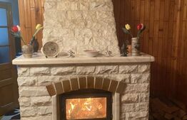 Casă de vânzare, cu 7 camere, 480 mp, zona Bd. Bucovina