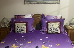 Casă de vânzare, cu 7 camere, 480 mp, zona Bd. Bucovina