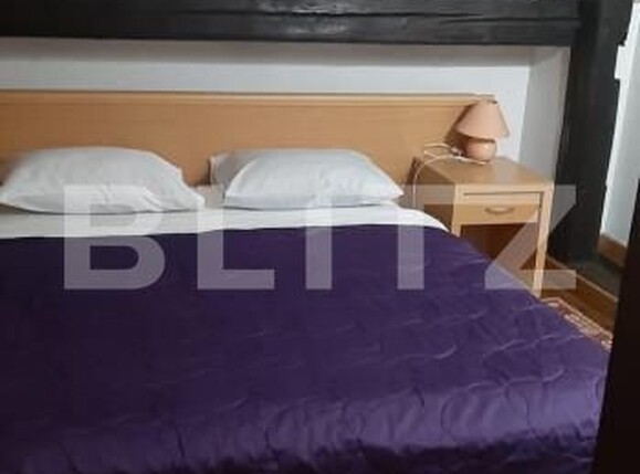 Apartament de închiriat 2 camere Ultracentral - 166619AI | BLITZ Suceava | Poza3