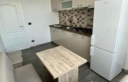 Apartament cu o cameră, 42 mp, etaj 2, zona George Enescu 