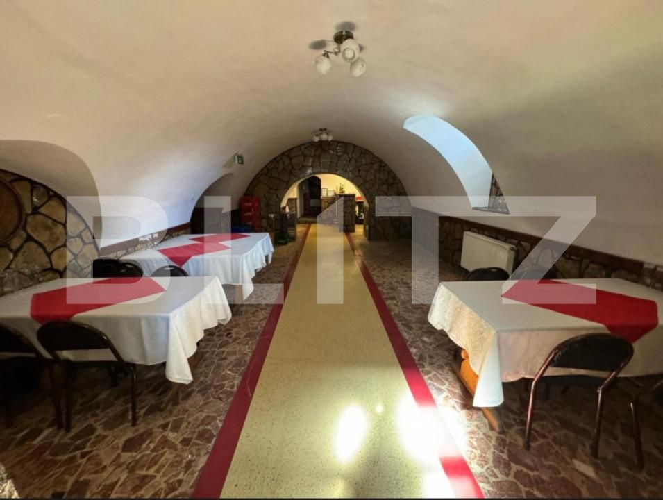 Spațiu comercial de închiriat Siret - 166797SIC | BLITZ Suceava | Poza5