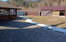 Casa individuala, teren 5200mp, oportunitate de investitie, Brodina