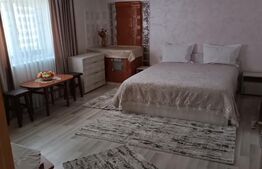 Casa individuala, teren 5200mp, oportunitate de investitie, Brodina