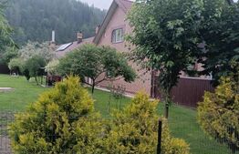 Casa individuala, teren 5200mp, oportunitate de investitie, Brodina