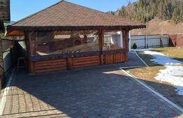 Casa individuala, teren 5200mp, oportunitate de investitie, Brodina