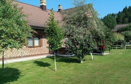 Casa individuala, teren 5200mp, oportunitate de investitie, Brodina