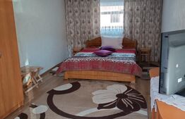 Casa individuala, teren 5200mp, oportunitate de investitie, Brodina