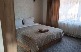 Casa individuala, teren 5200mp, oportunitate de investitie, Brodina