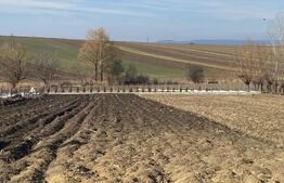 Teren intravilan, 2600 mp, Bosanci