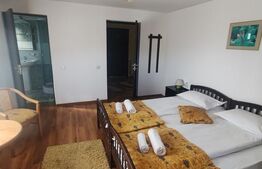 Pensiune cu 9 camere, 250 mp, teren de 900 mp, zona Manastirea Humorului