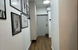 Apartament, 2 camere, 45 mp, etaj intermediar, bloc nou, zona Centrala