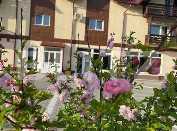 Spațiu comercial de vânzare Exterior Vest - 167325SVC | BLITZ Suceava | Poza18