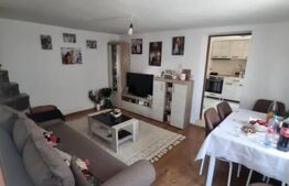 Casa la rosu, 300 mp, 31 ari de teren, Maneuti-Fratautii Vechi