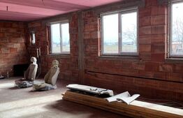 Casa la rosu, 300 mp, 31 ari de teren, Maneuti-Fratautii Vechi