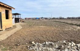 Casa la rosu, 300 mp, 31 ari de teren, Maneuti-Fratautii Vechi