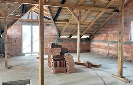 Casa la rosu, 300 mp, 31 ari de teren, Maneuti-Fratautii Vechi