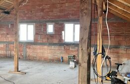 Casa la rosu, 300 mp, 31 ari de teren, Maneuti-Fratautii Vechi