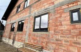 Casa la rosu, 300 mp, 31 ari de teren, Maneuti-Fratautii Vechi