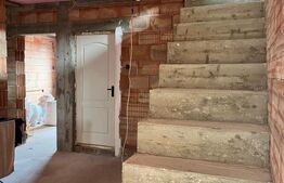 Casa la rosu, 300 mp, 31 ari de teren, Maneuti-Fratautii Vechi