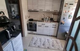 Casa la rosu, 300 mp, 31 ari de teren, Maneuti-Fratautii Vechi