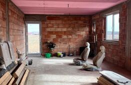 Casa la rosu, 300 mp, 31 ari de teren, Maneuti-Fratautii Vechi