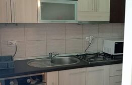 Microapartament de vanzare, 27 mp, zona Burdujeni