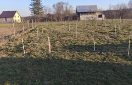 Casa finisata, teren 2500mp, Marginea