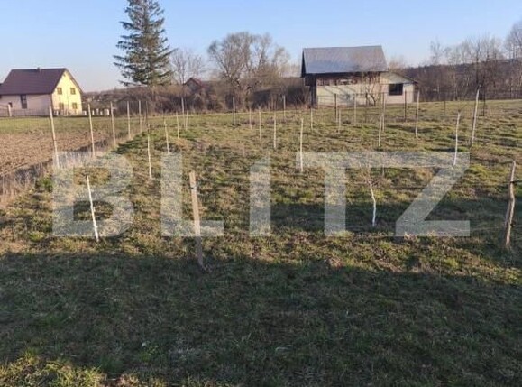 Casa de vânzare 8 camere Marginea - 167807CV | BLITZ Suceava | Poza12