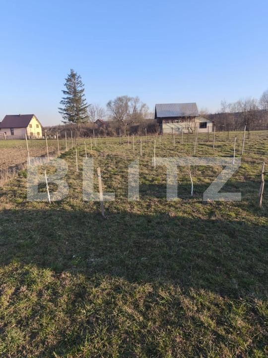 Casa de vânzare 8 camere Marginea - 167807CV | BLITZ Suceava | Poza12