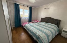 Triplex 4 camere, 110 mp utilii, zona Penny Moara