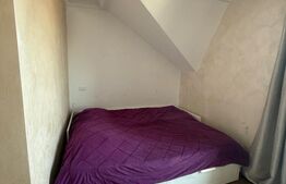 Triplex 4 camere, 110 mp utilii, zona Penny Moara