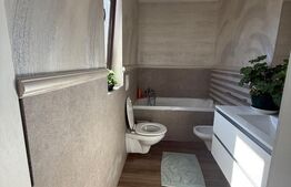 Triplex 4 camere, 110 mp utilii, zona Penny Moara