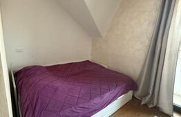 Triplex 4 camere, 110 mp utilii, zona Penny Moara